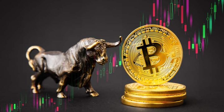 Crypto trading guide : what is bull run meaning?