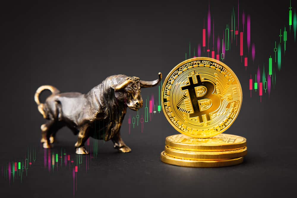 Crypto trading guide : what is bull run meaning?