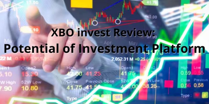 XBO invest Review: Potential of Investment Platform